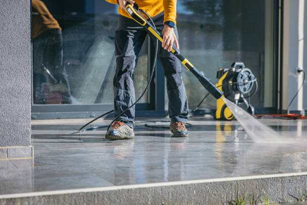 Best Gutter Cleaning  in Lake Panasoffkee, FL